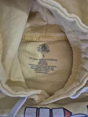 Disney Walt Disney World Hoodie