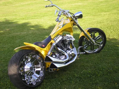 custom HD motorcycle
