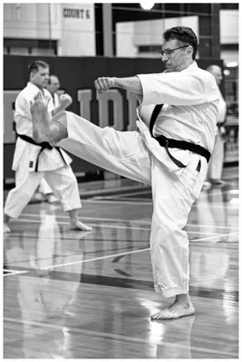 Karate Lessons for Beginners