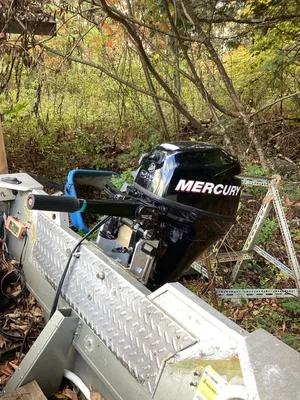 Mercury outboard