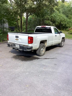 Chev Silverado