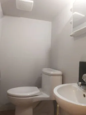 Downtown furnished room available now