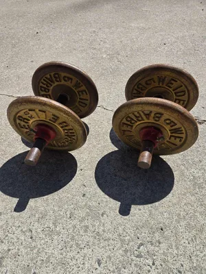 10 kg pair weider dumbbells