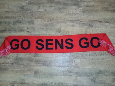 scarf ..Senators