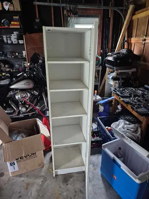 cabnet with shelves