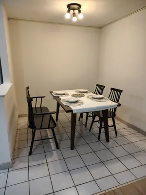 2 bedroom  downtown Kingston