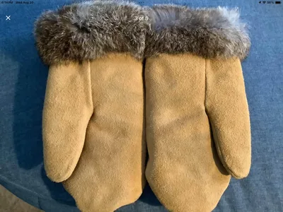 Vintage Indigenous Suede Mittens w Fur Trim and a Beaded Design
