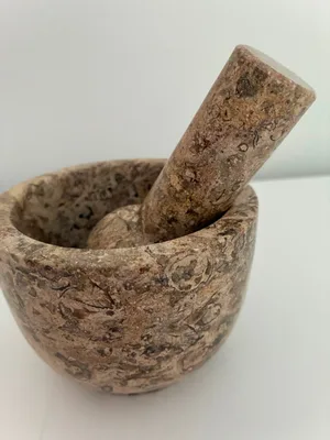 FOSSIL STONE MOTAR AND PESTEL