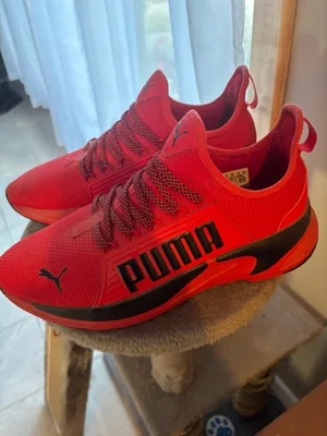 Men size 10 Puma