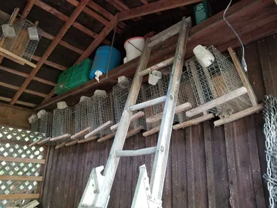Trappers Humane Live Animal Traps