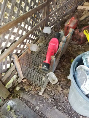 Trappers Humane Live Animal Traps