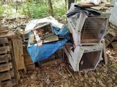 Trappers Humane Live Animal Traps
