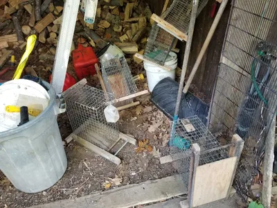 Trappers Humane Live Animal Traps