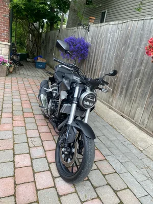 Honda CB300R