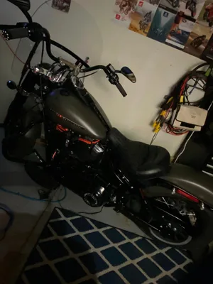 2018 Harley Davidson SoftTail Slim
