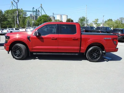 2025 Ford F 150 Clean Carfax. 1 Owner. Showroom Condition. Nav