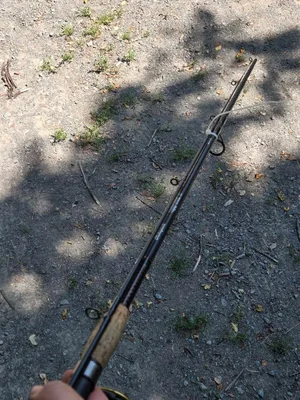 Shakespeare Ugly Stik Elite Rod with Penn Battle II Reel