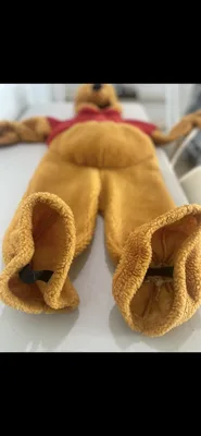 Winnie The Pooh Costume