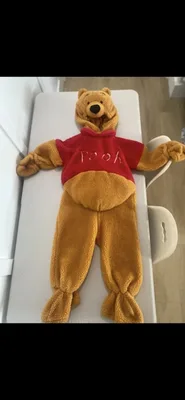 Winnie The Pooh Costume