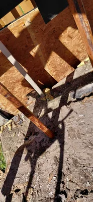 Wood used