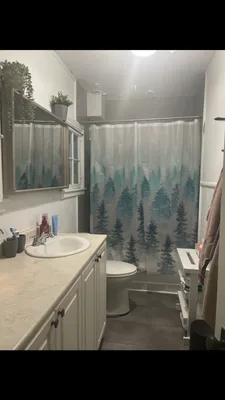 Room for rent within Apt, $1200 incl most utili, unltd internet