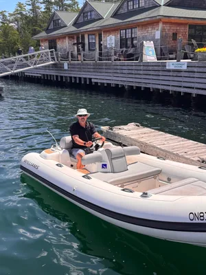 Williams Turbojet 445 Sport boat For Sale