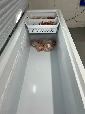 chest freezer