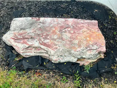 Free Landscaping Rock – Free Pickup