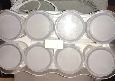 Donvier Yogurt Maker