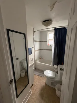 Roommate Wanted