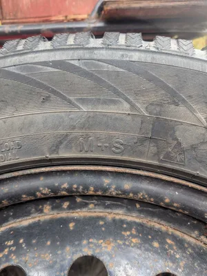 Toyo Winter Tires