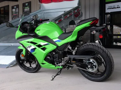 2026 Kawasaki Ninja 300 Sport Bike / Motorcycle