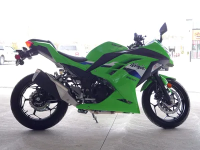 2026 Kawasaki Ninja 300 Sport Bike / Motorcycle