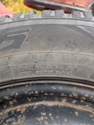 Toyo Winter Tires
