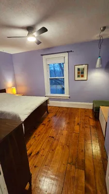 Room for Rent in a Picton House on a Quiet Leafy Street