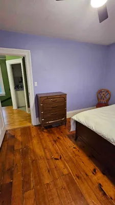Room for Rent in a Picton House on a Quiet Leafy Street